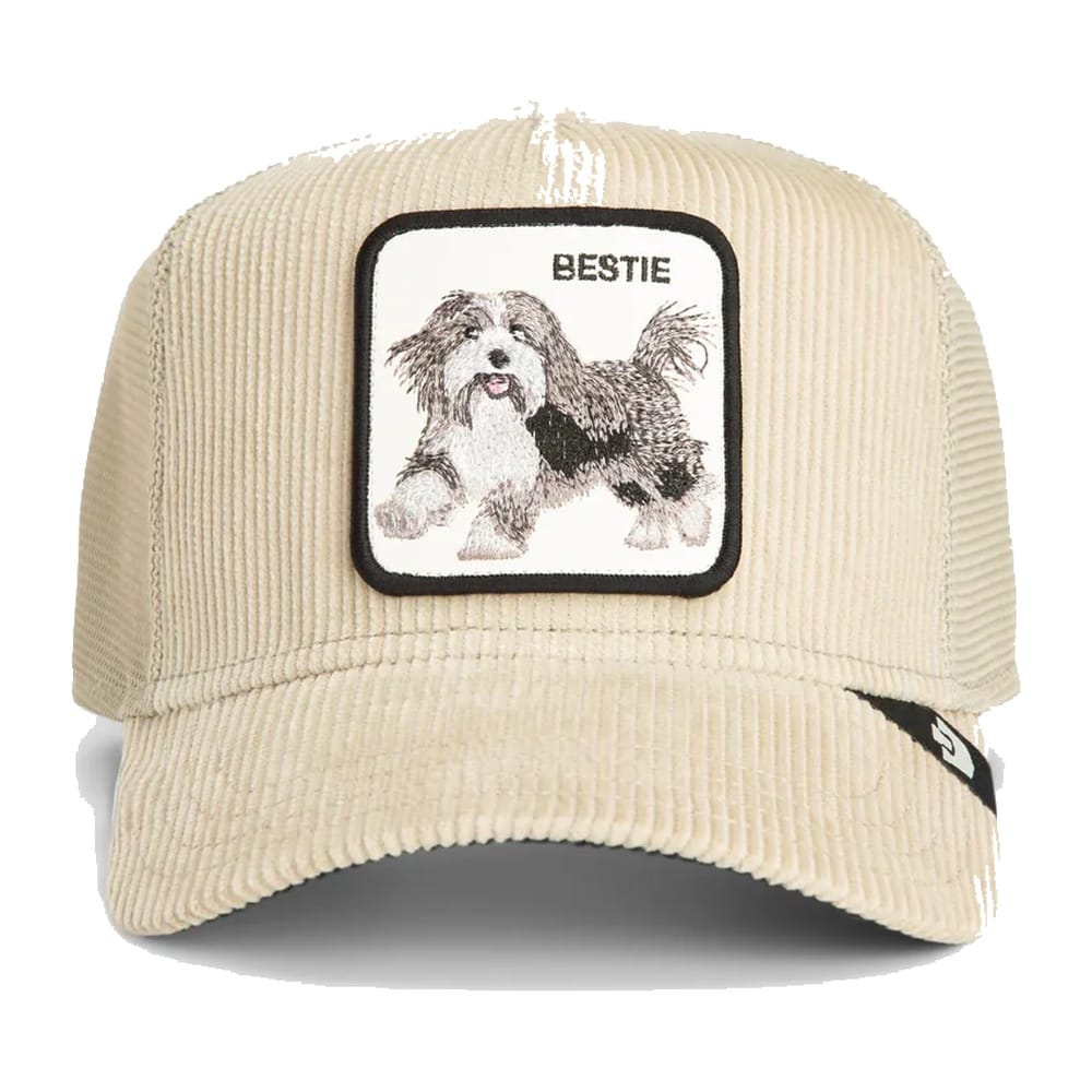 Goorin Bros Dapper Bestie Corduroy Trucker Snapback - Scout